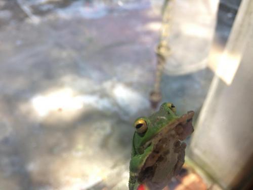 51768468_2239012366322616_6493950153089613824_n